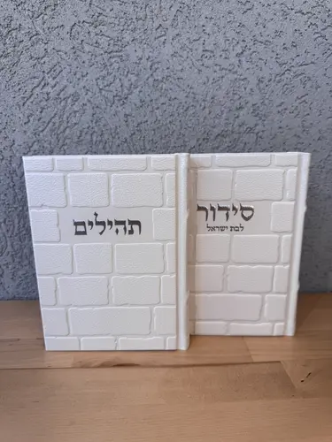 סידור בת ישראל + תהילים דגם " הכותל " כסוף
